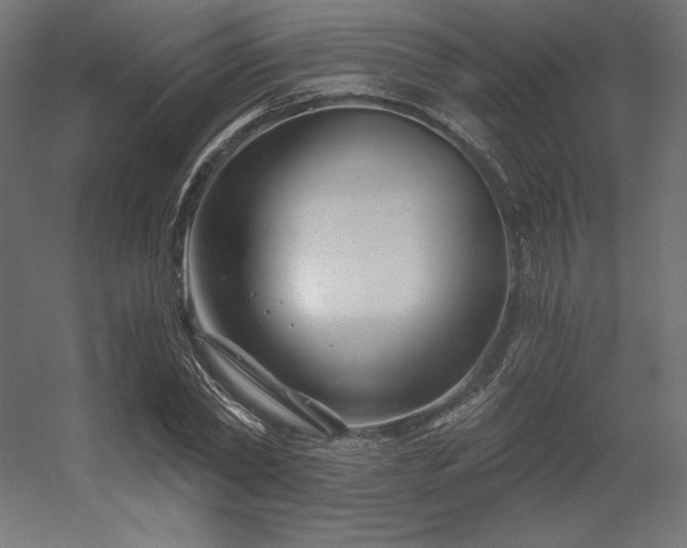 X0000056320782200509021602