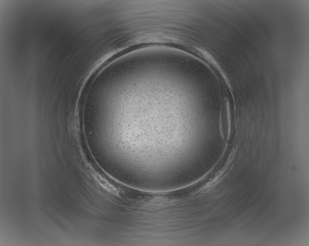 X0000056320787200509021602