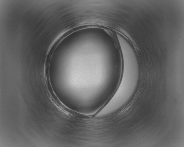 X0000056320788200509021602
