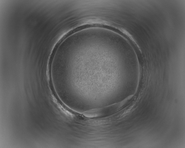 X0000056320791200509021602