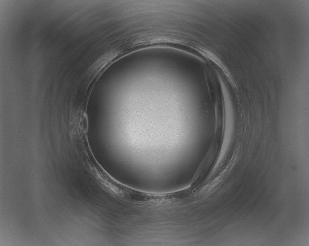 X0000056320793200509021602