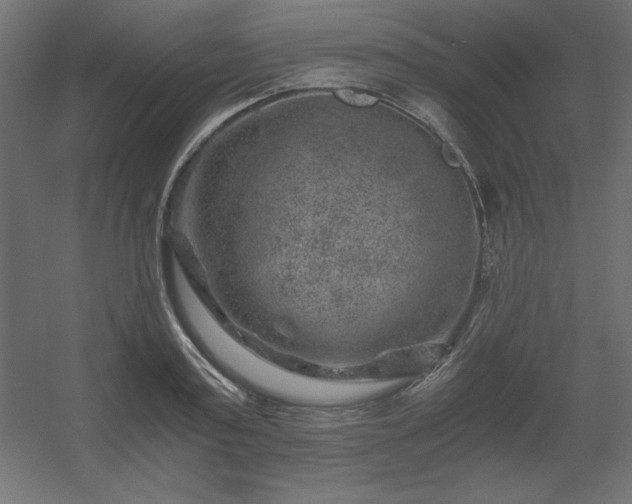 X0000056320795200509021602