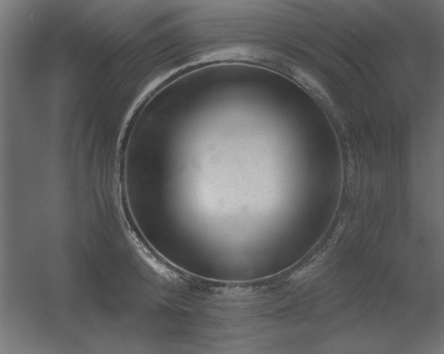 X0000056320800200509021602