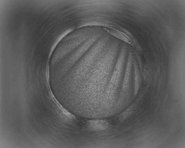 X0000056320804200509021601