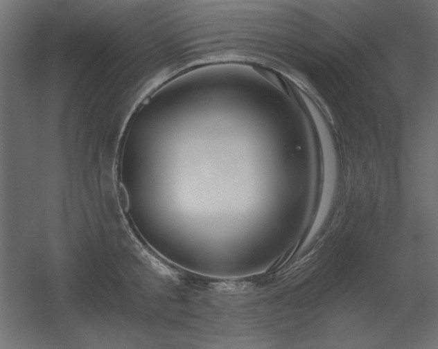 X0000056320805200509021601