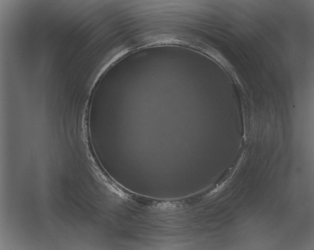 X0000056320806200509021601