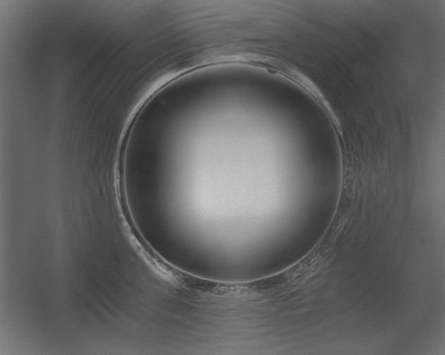 X0000056320811200509021601