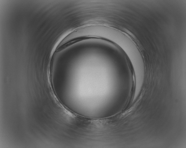 X0000056320812200509021601