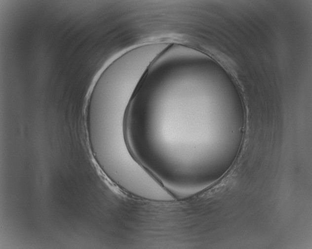 X0000056320816200509021601