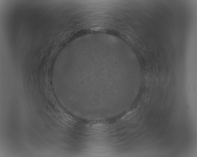X0000056320817200509021600