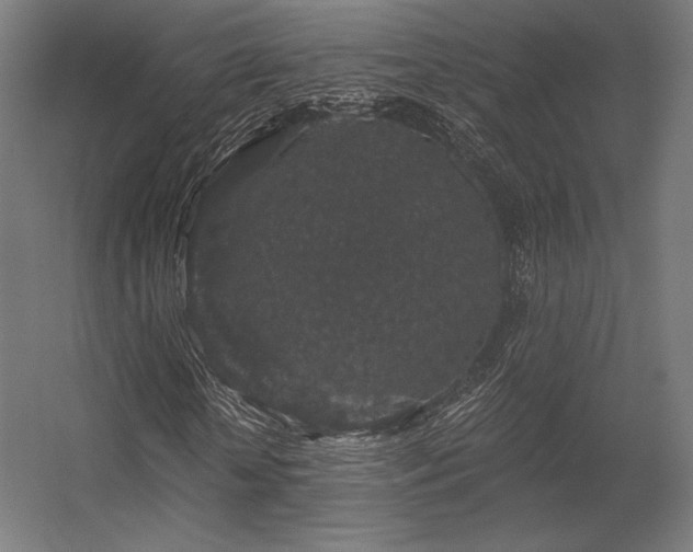 X0000056320818200509021600