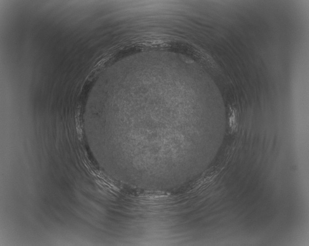 X0000056320819200509021600