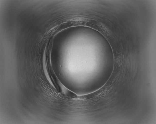 X0000056320821200509021601