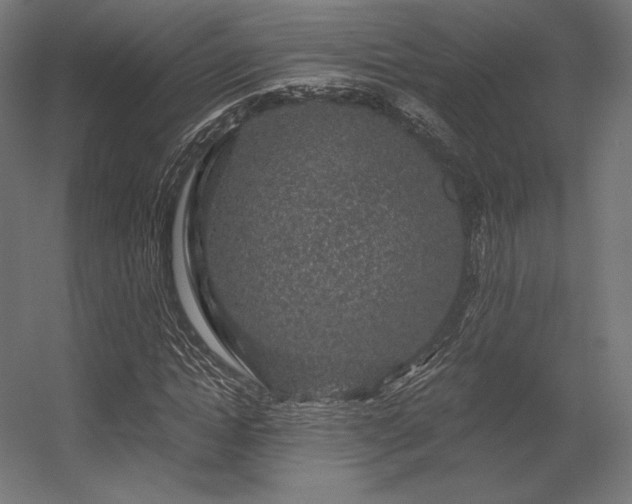 X0000056320822200509021601
