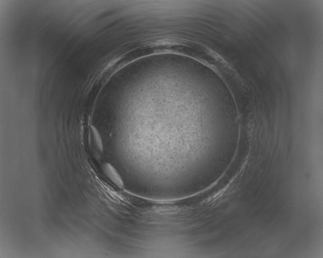 X0000056320825200509021601
