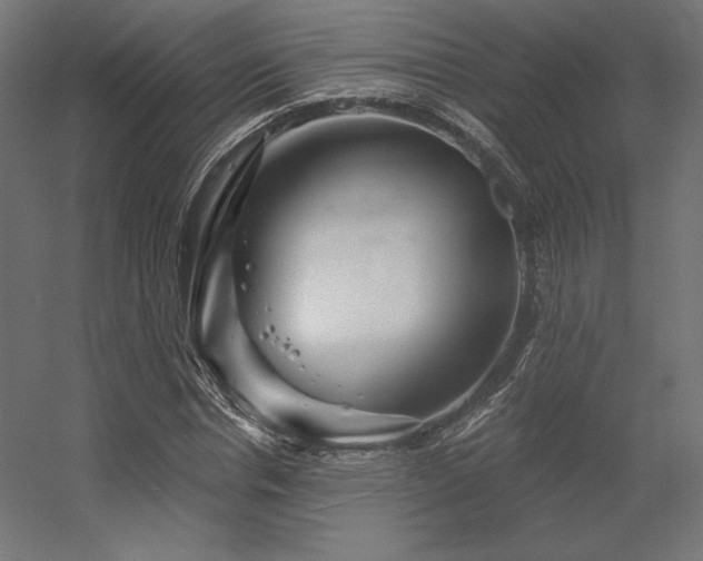 X0000056320826200509021601