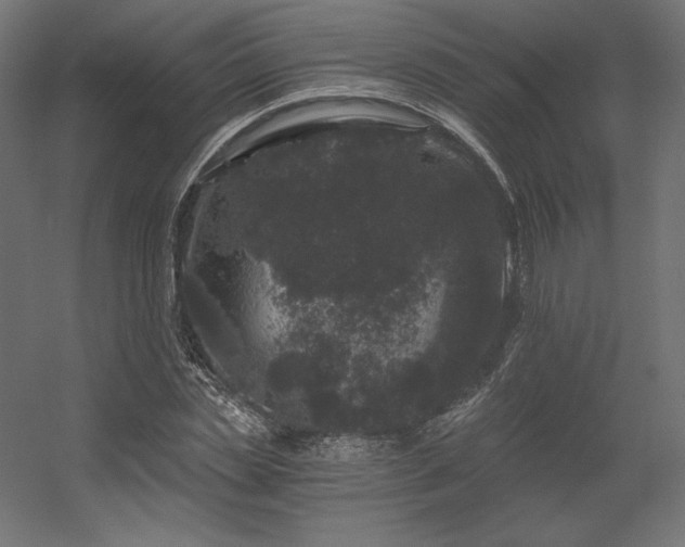 X0000056320829200509021601