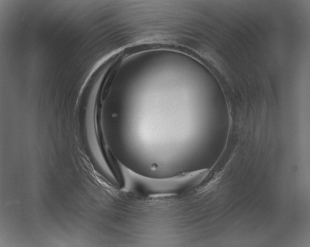 X0000056320830200509021601