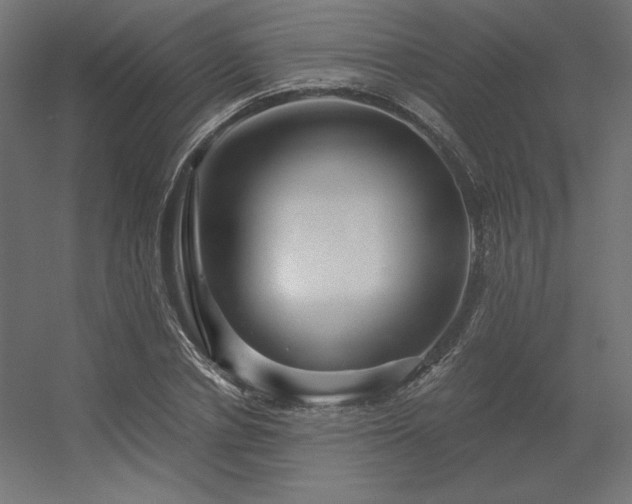 X0000056320834200509021601