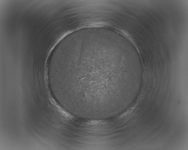 X0000056320835200509021601
