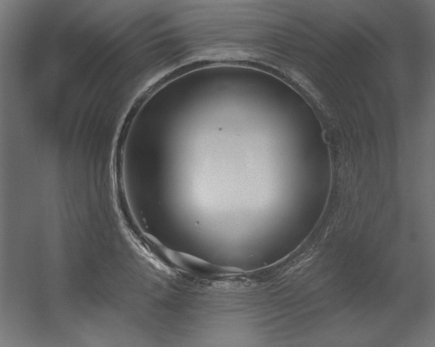 X0000056320840200509021601