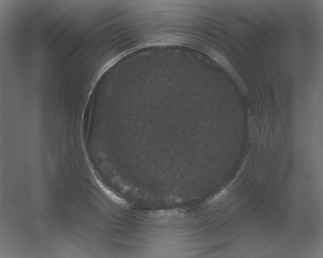 X0000056320842200509021601