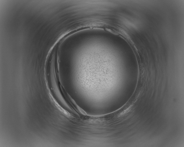 X0000056320843200509021601