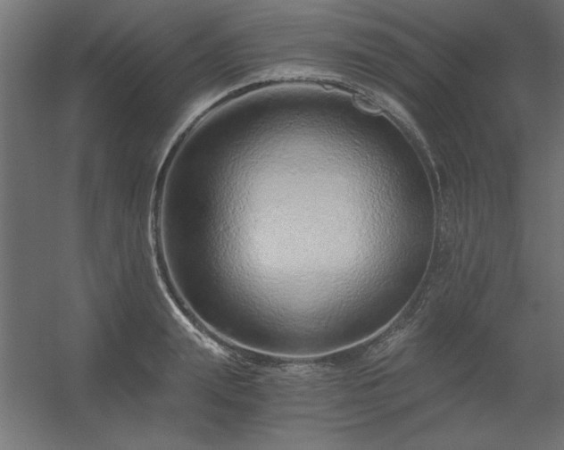 X0000056320847200509021601