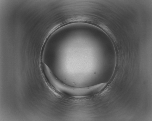 X0000056320850200509021601