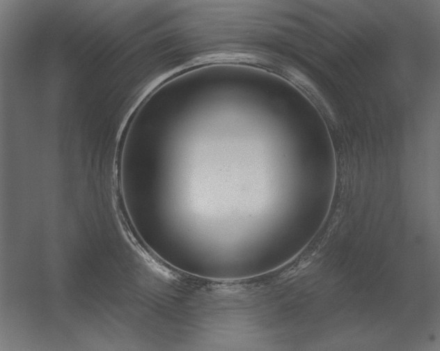 X0000056320852200509021601