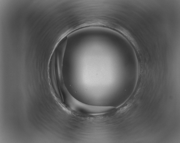 X0000056320858200509021601