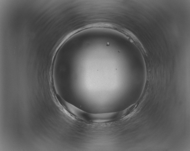 X0000056320860200509021601