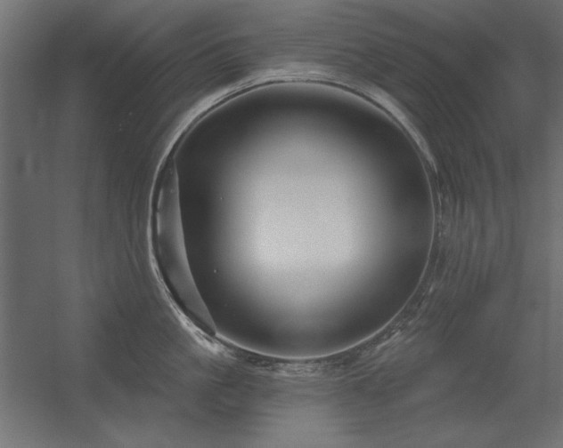 X0000056320861200509021601