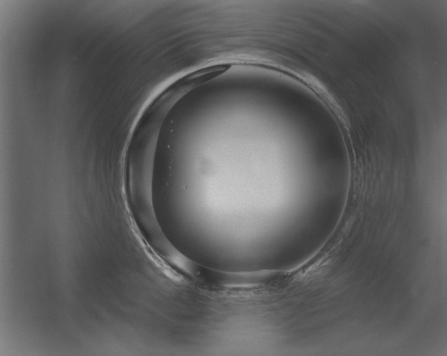 X0000056320862200509021601