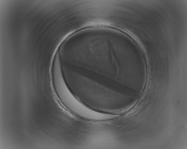 X0000056320864200509021601