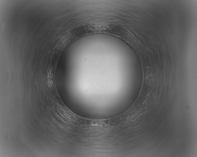 X0000056320866200509021600