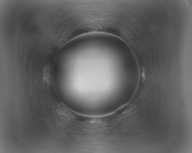 X0000056320867200509021600