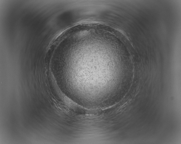 X0000056320871200509021600