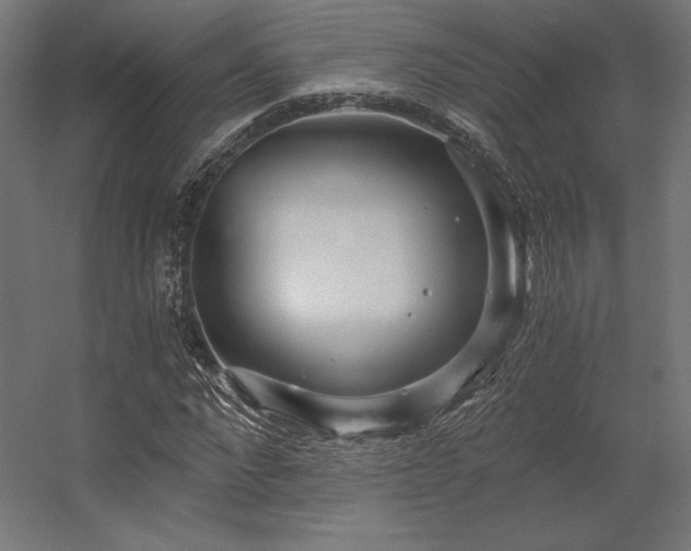 X0000056320872200509021600