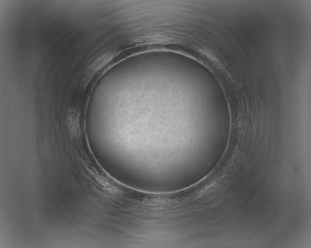 X0000056320873200509021600