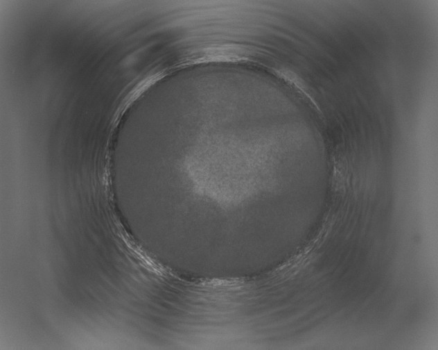 X0000056320874200509021600