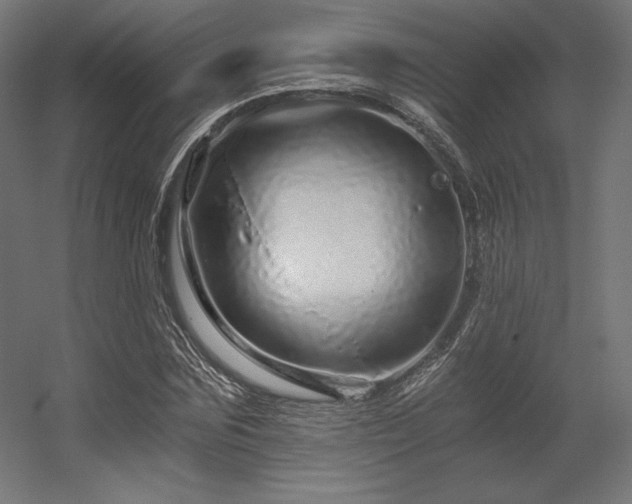 X0000056320875200509021600