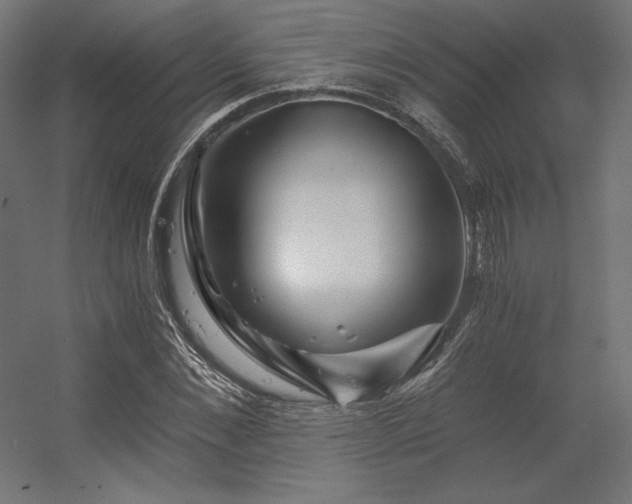X0000056320876200509021600