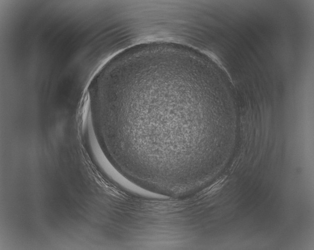 X0000056320879200509021600