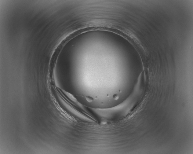 X0000056320880200509021600