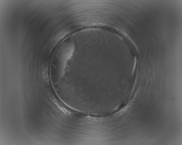 X0000056320881200509021600
