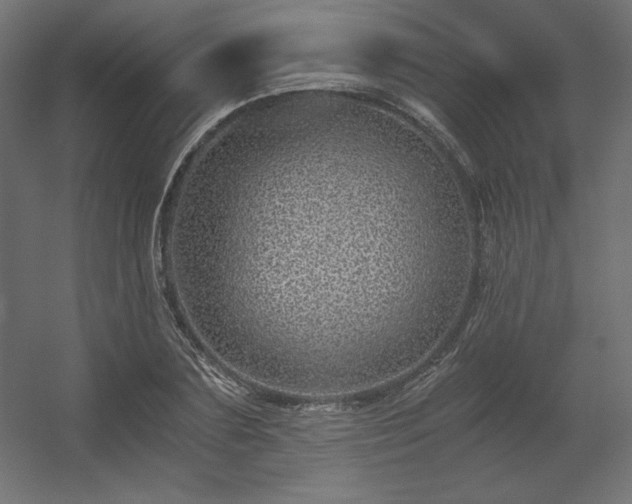 X0000056320883200509021600