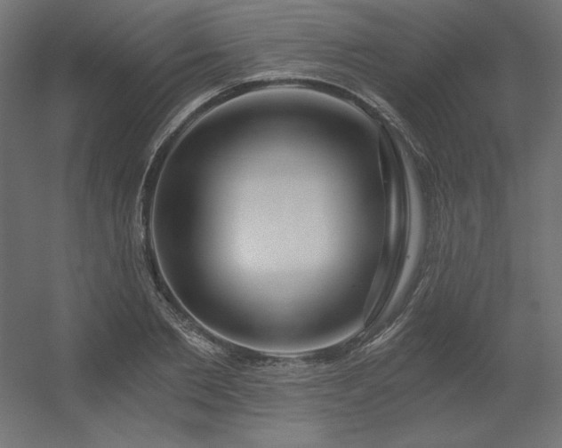 X0000056320885200509021600