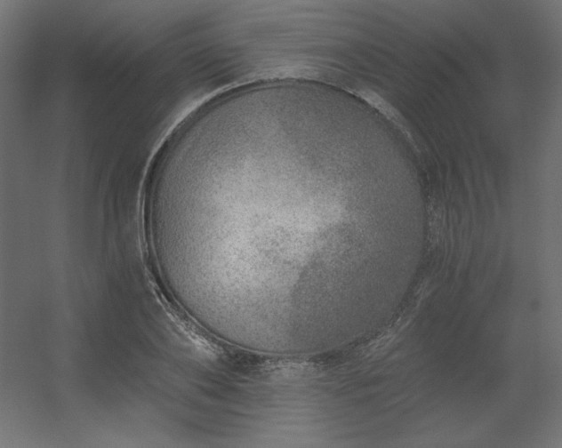 X0000056320886200509021600