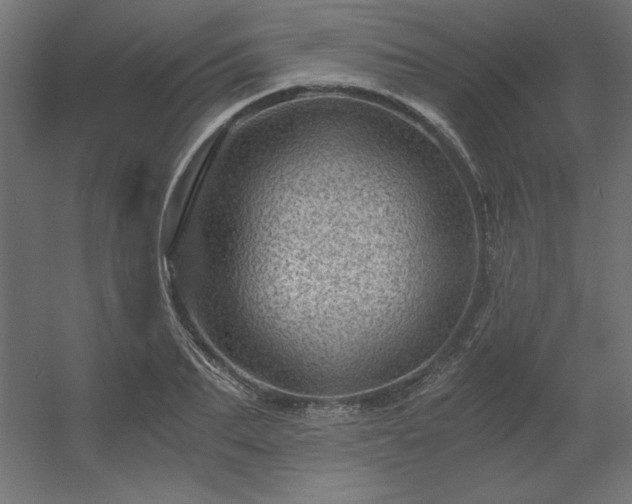 X0000056320887200509021600